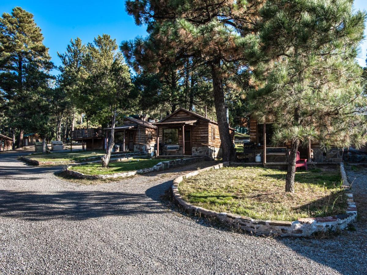 Destiny Cabin, 2 Bedrooms, Fireplace, Midtown, Sleeps 7 رويدوسو، نيومكسيكو المظهر الخارجي الصورة